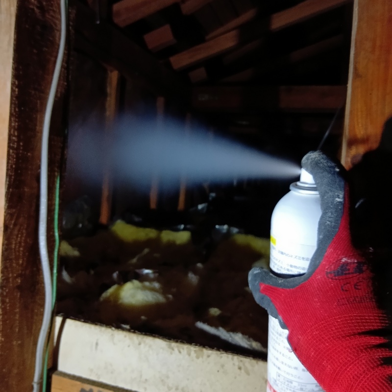 忌避スプレーを散布