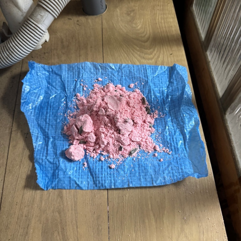 室内に殺鼠剤を設置