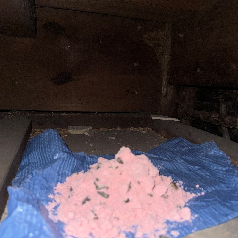 屋根裏に殺鼠剤を設置