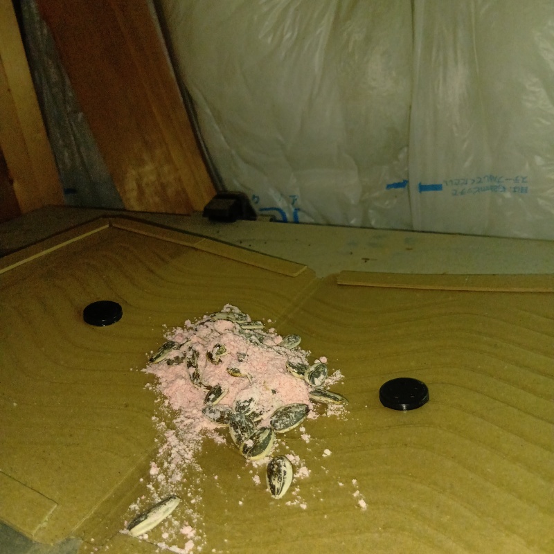 粘着シートの上に殺鼠剤を設置