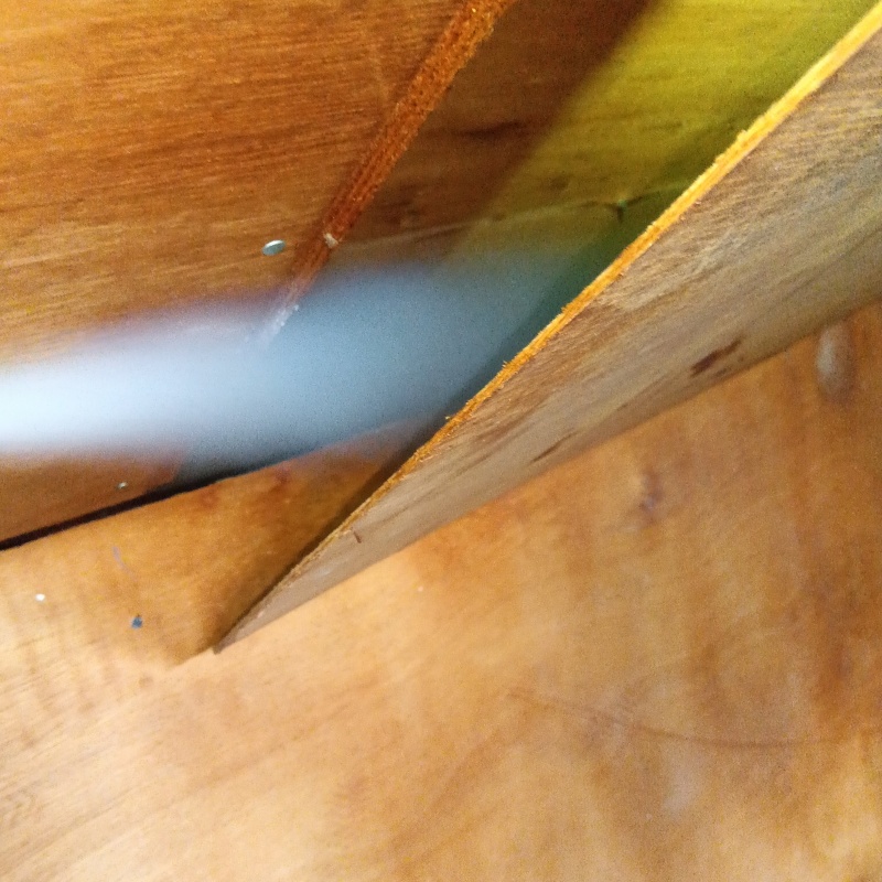 天井裏に忌避スプレーを散布