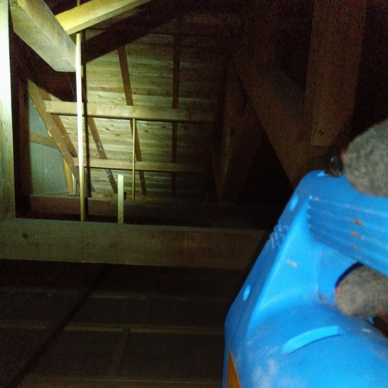 噴霧器で薬剤を散布