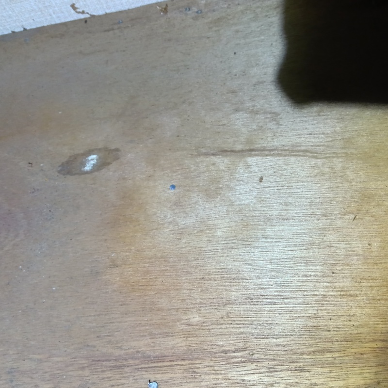 フンの清掃が完了した様子