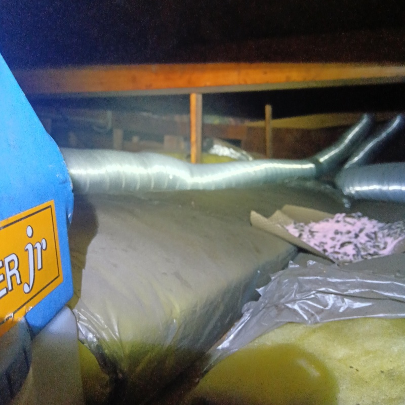 殺鼠剤を設置した様子