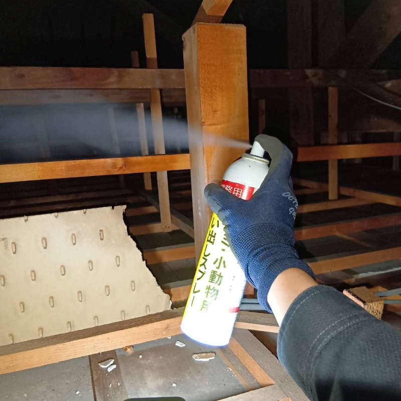 忌避スプレーを散布