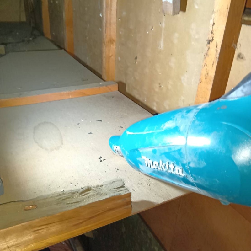 掃除機でフンを回収する様子