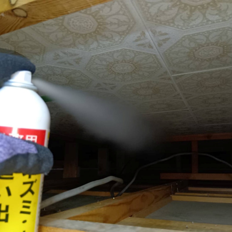 忌避スプレーを散布