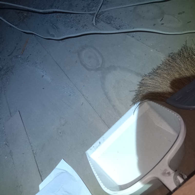 フンを清掃する様子