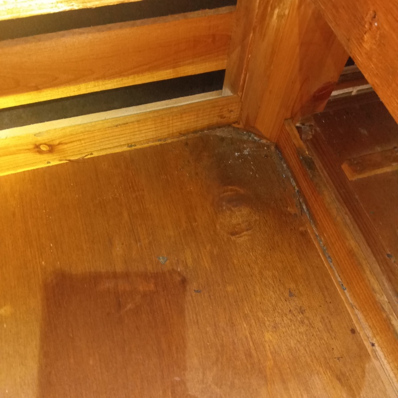 フンの清掃が完了した様子