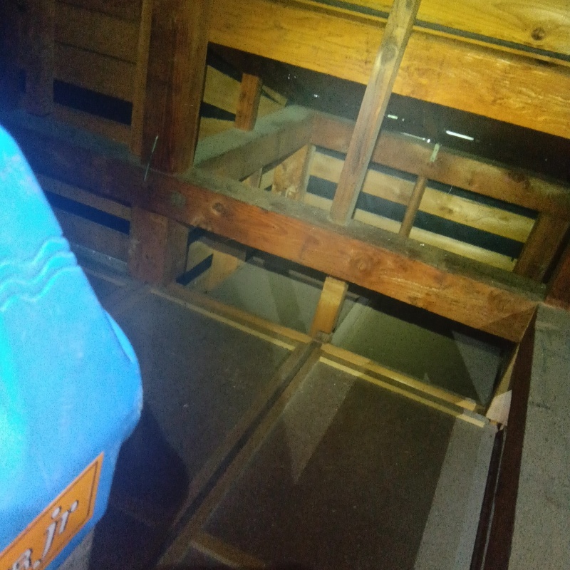 噴霧器で薬剤を散布