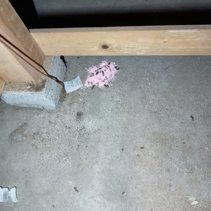 床下に殺鼠剤を設置