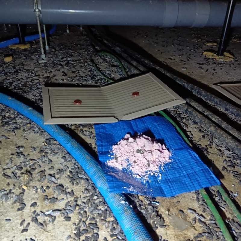 殺鼠剤と粘着シートを設置した様子