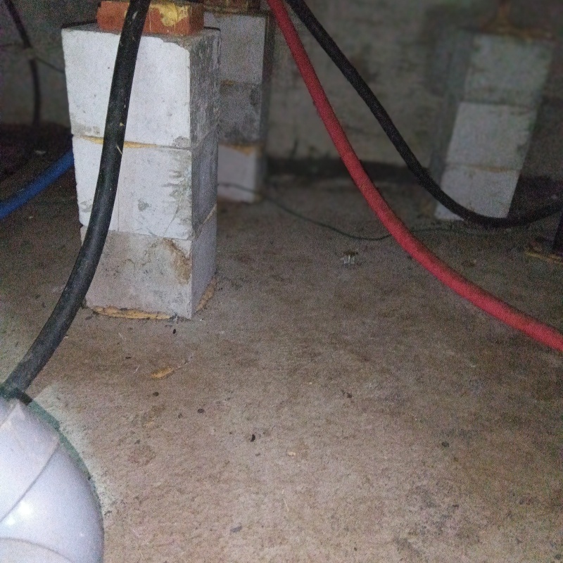 フンの清掃が完了した様子