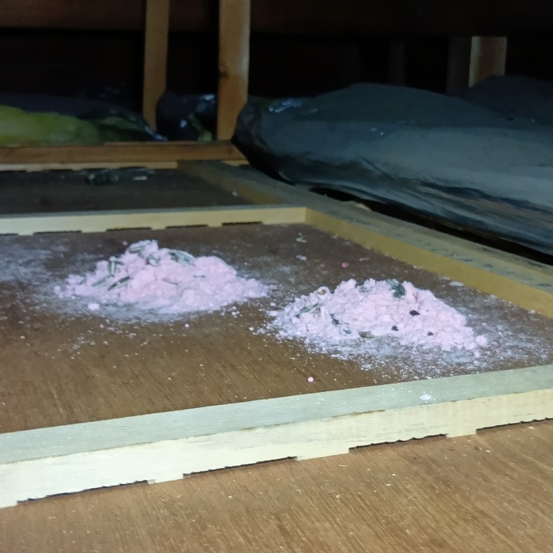 殺鼠剤を設置した様子