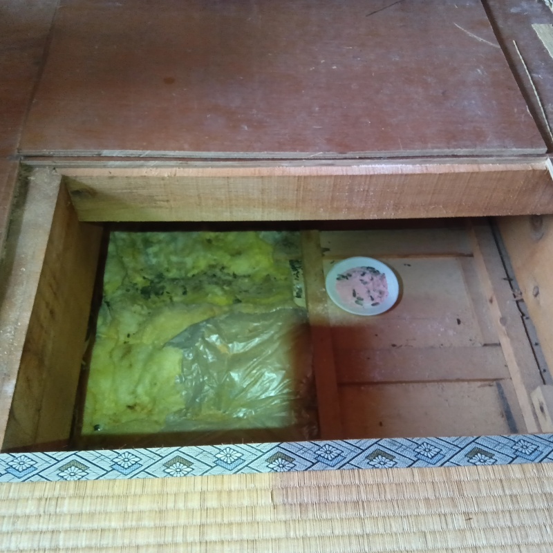 床下に殺鼠剤設置をした様子