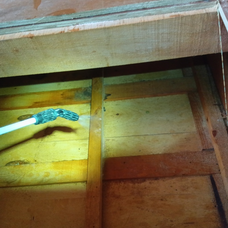 屋根裏に除菌剤を散布