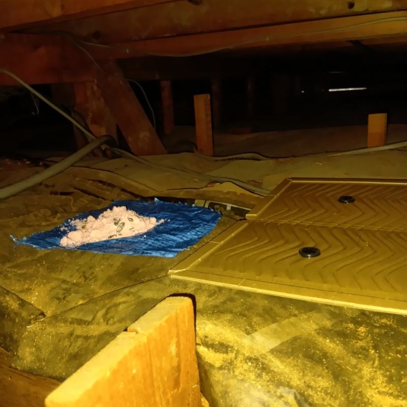 殺鼠剤と粘着シートを設置