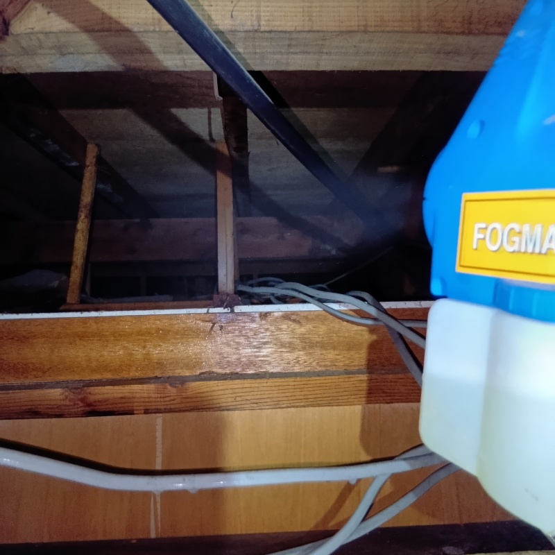 屋根裏に除菌剤を散布