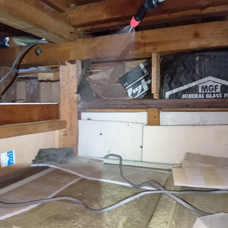 屋根裏に殺虫剤を散布