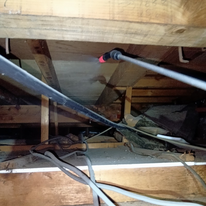 屋根裏に殺虫剤を散布