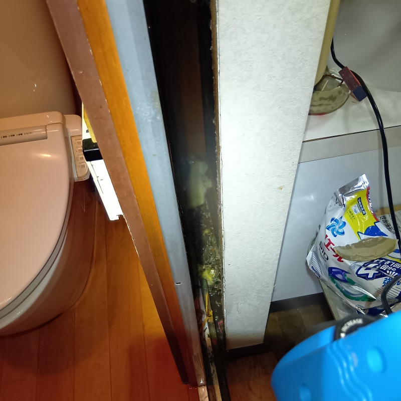 ハクビシン駆除の施工事例（宮城県岩沼市三色吉）