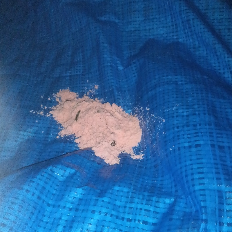 ブルーシートの上に殺鼠剤を設置