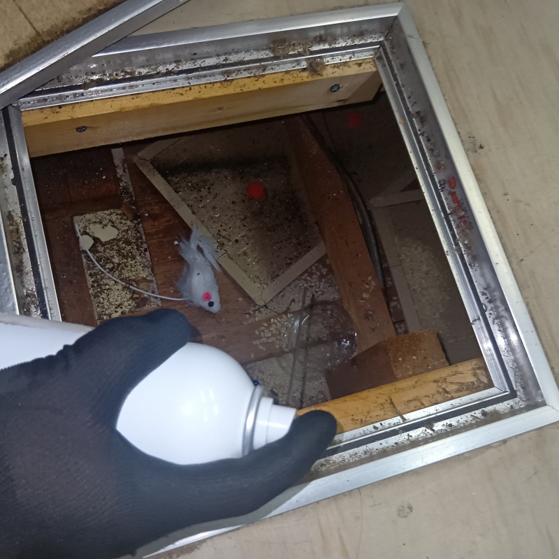 床下に忌避スプレーを散布