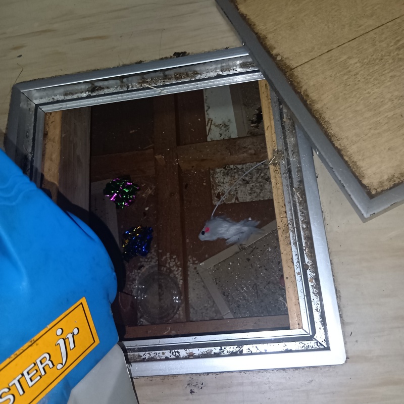 床下に噴霧器で薬剤を散布