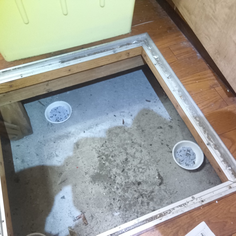 床下に殺鼠剤を設置