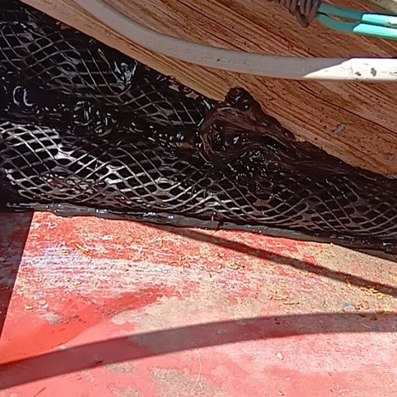 屋根のすき間を封鎖