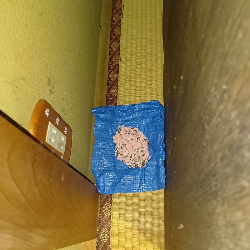 和室に殺鼠剤を設置した様子