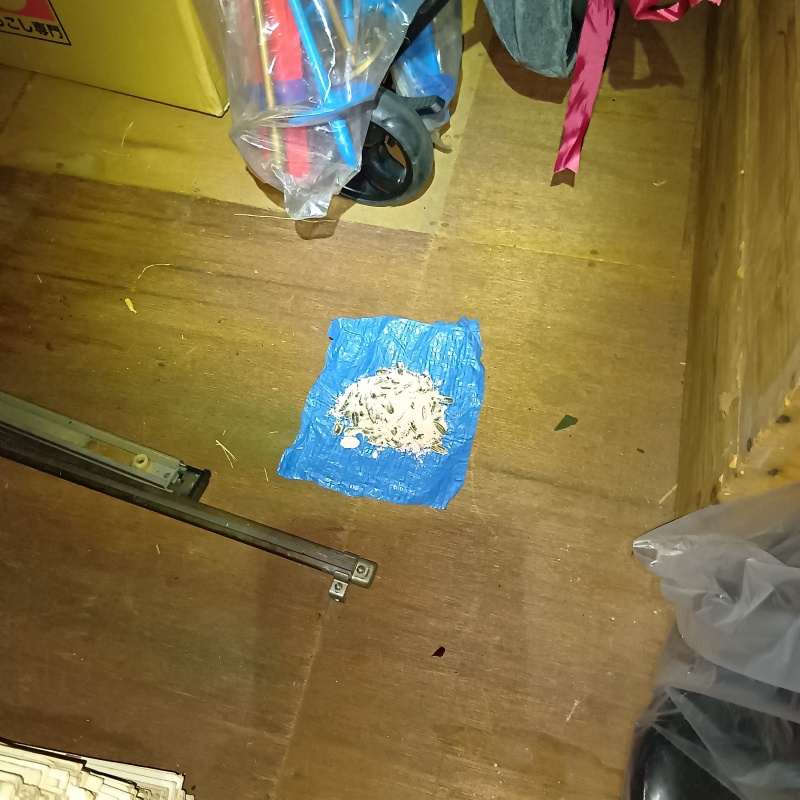 室内に殺鼠剤を設置した様子