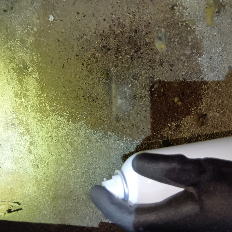 床下に忌避スプレーを散布