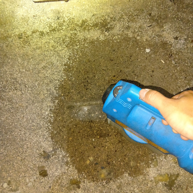 噴霧器で薬剤を散布