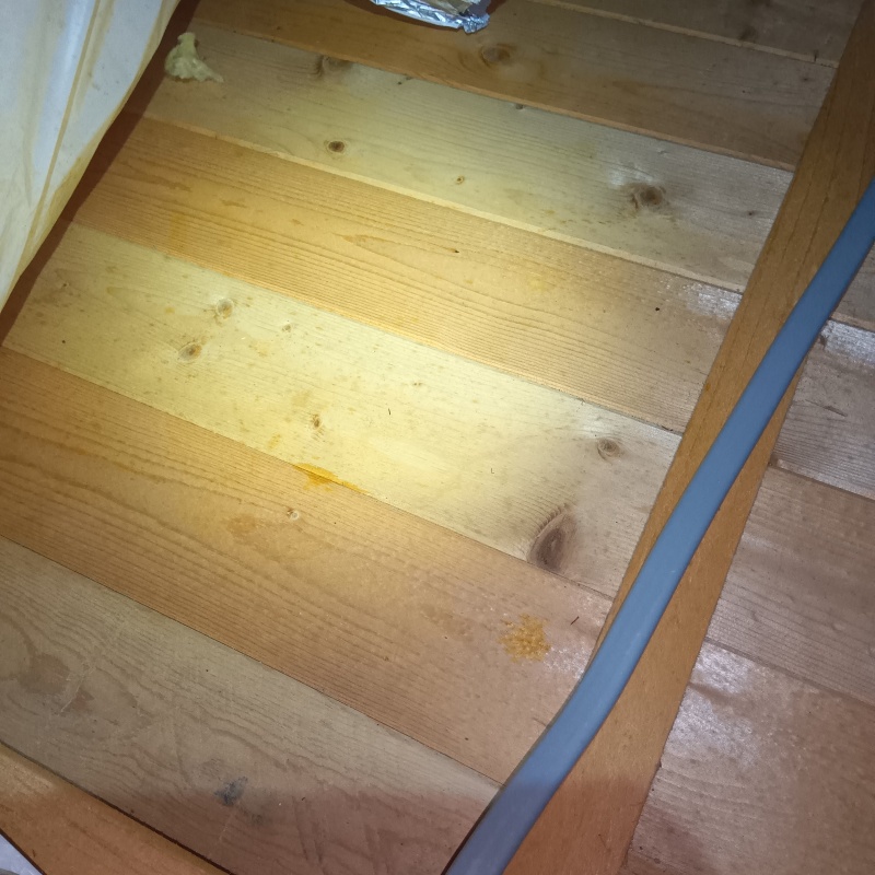 フンの清掃が完了した屋根裏