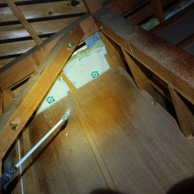 屋根裏に除菌剤を散布