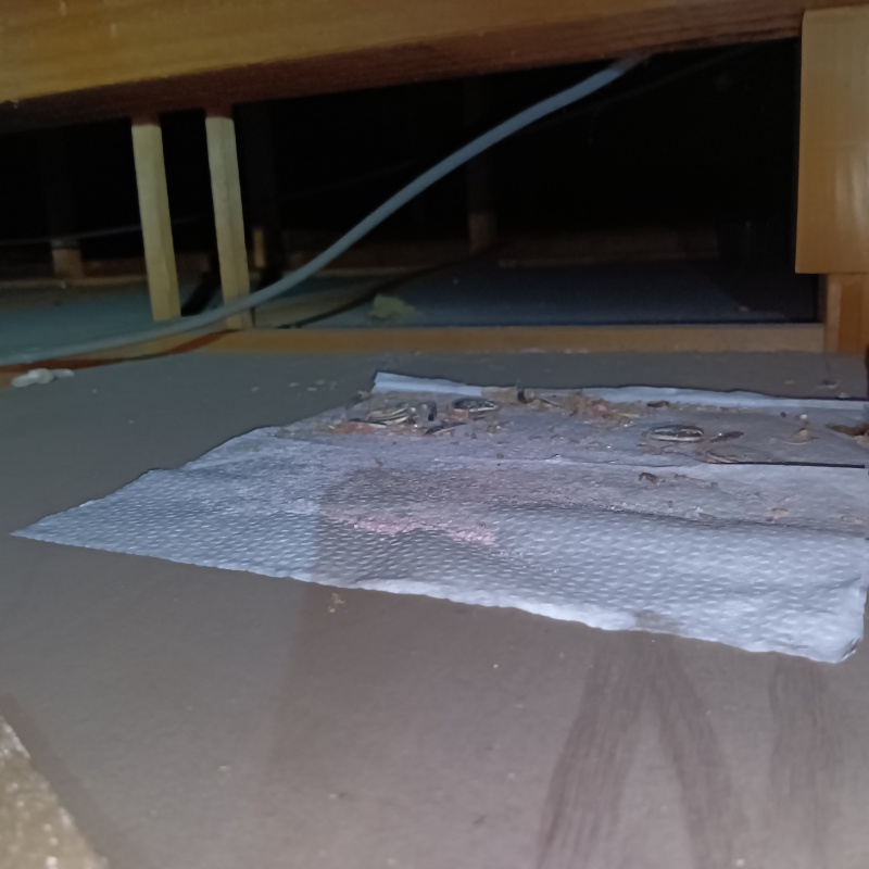 ネズミが殺鼠剤を食べたあと