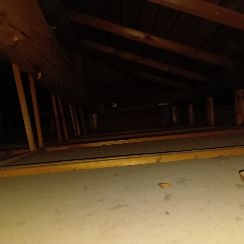 清掃が完了した屋根裏