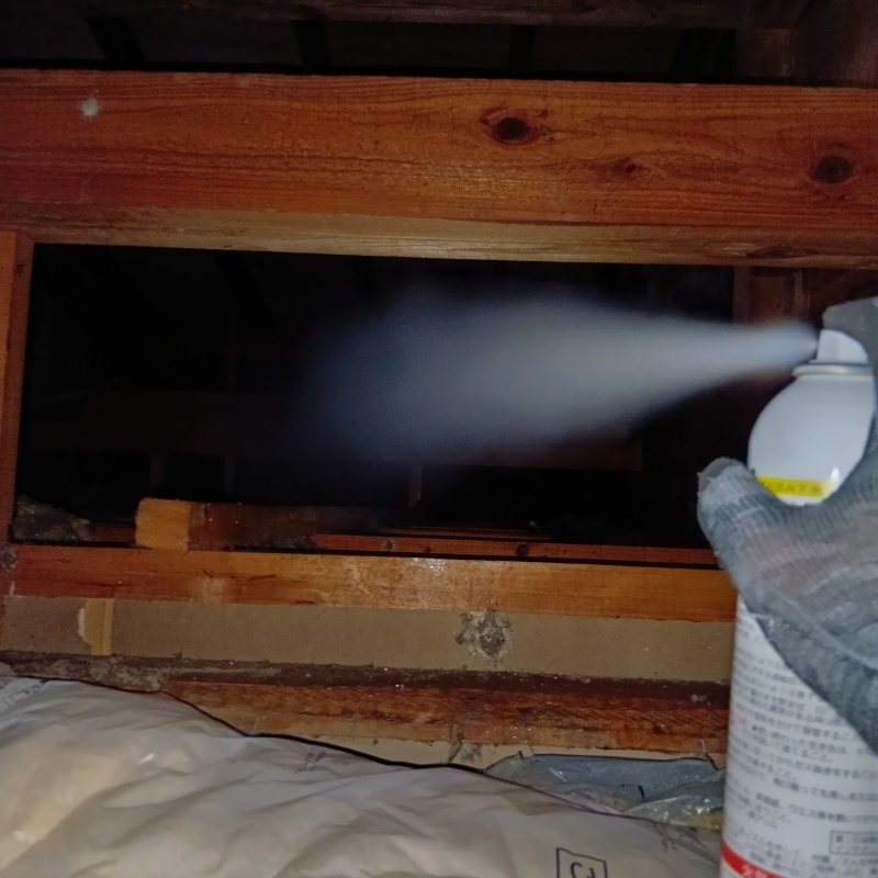 忌避スプレーを散布