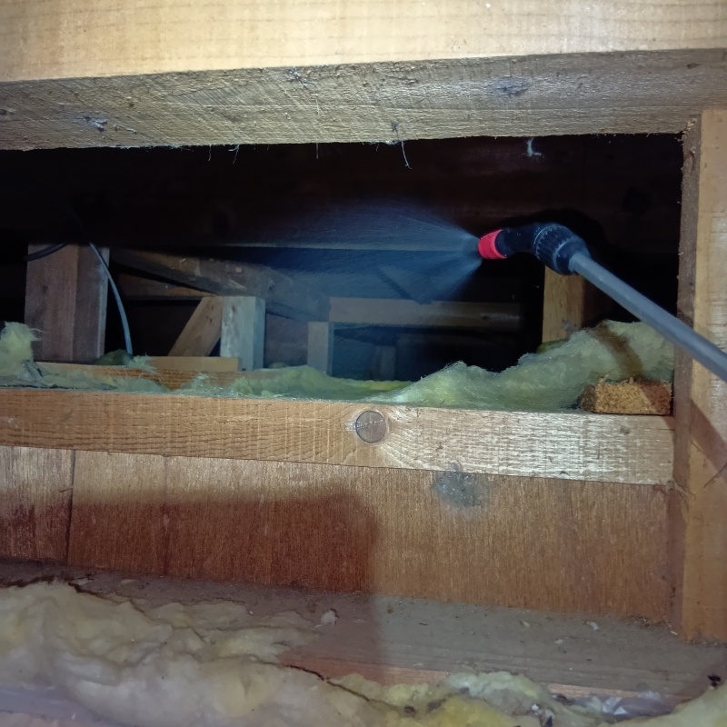 除菌剤を散布する様子