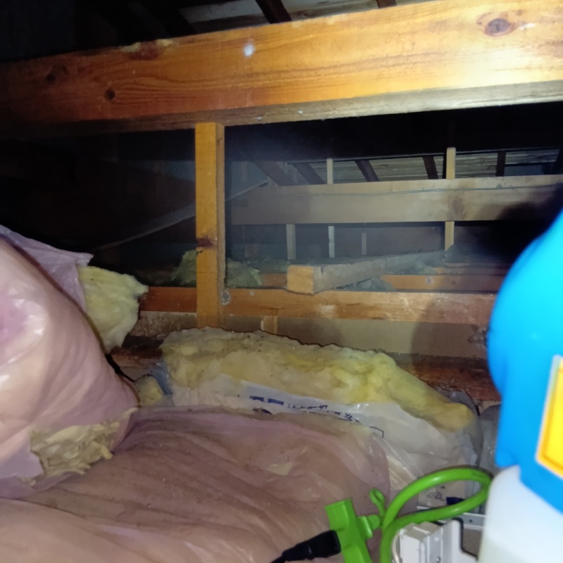 噴霧器で薬剤を散布