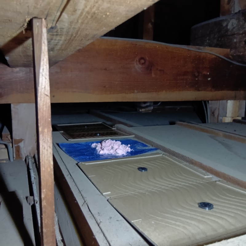 屋根裏に殺鼠剤と粘着シートを設置した様子