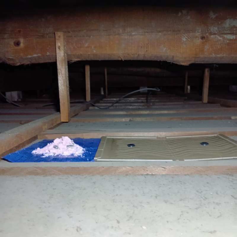 屋根裏に殺鼠剤と粘着シートを設置した様子