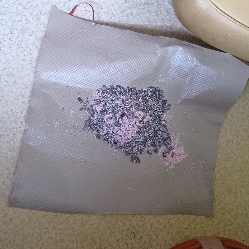 室内に殺鼠剤を設置