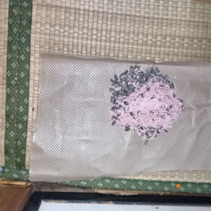 和室に殺鼠剤を設置