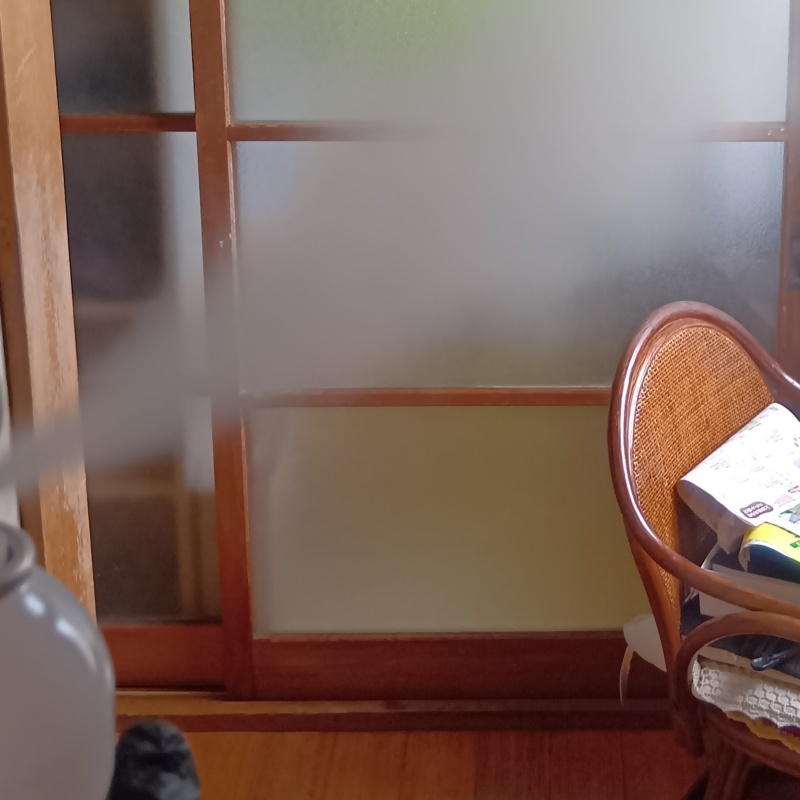 室内に忌避スプレーを散布