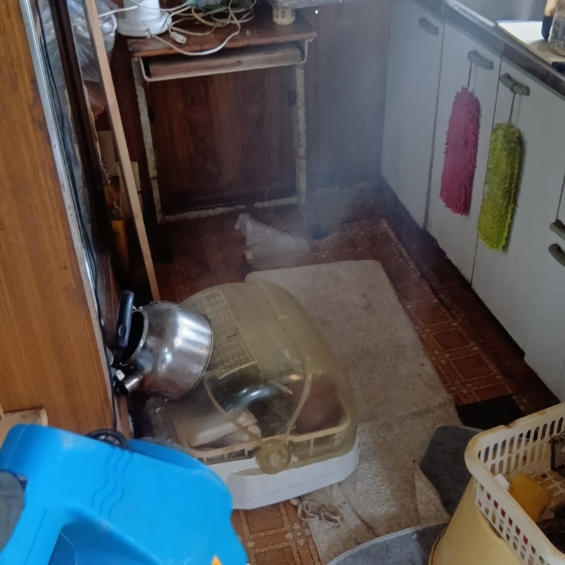 噴霧器で薬剤を散布