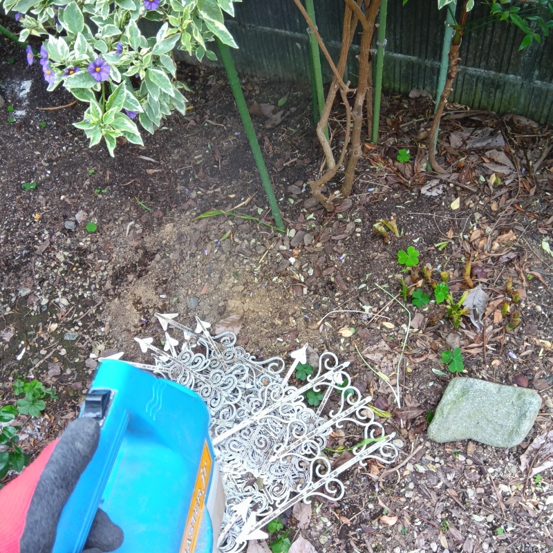 噴霧器で薬剤を散布