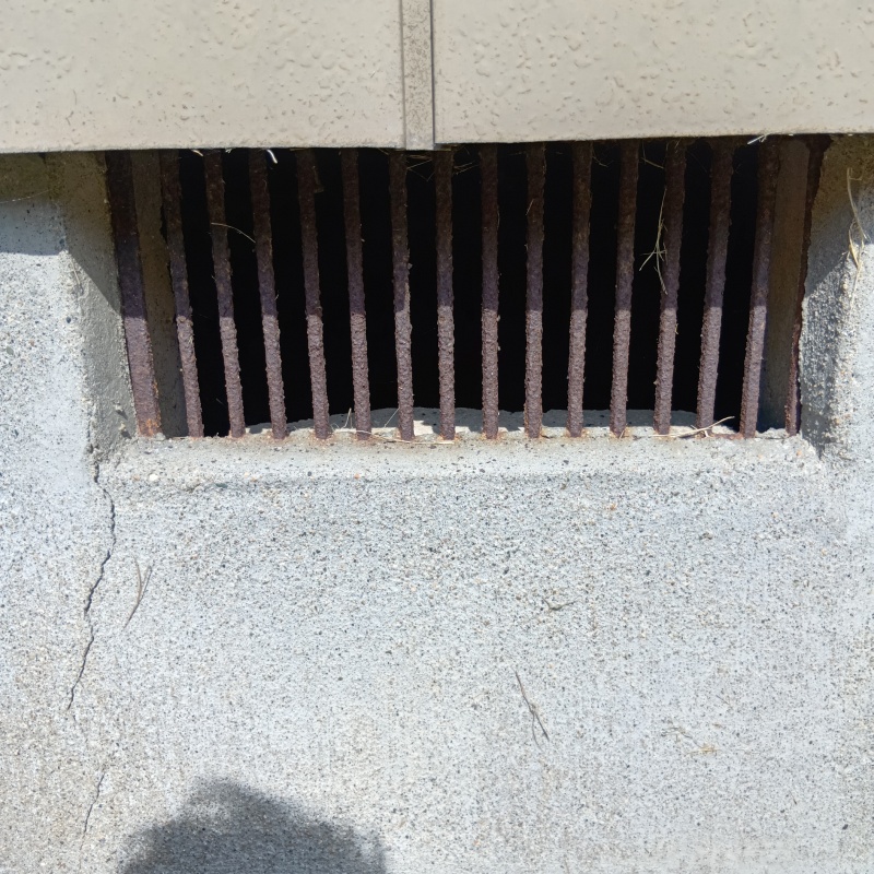 ハクビシン駆除の施工事例（宮城県岩沼市早股松原）