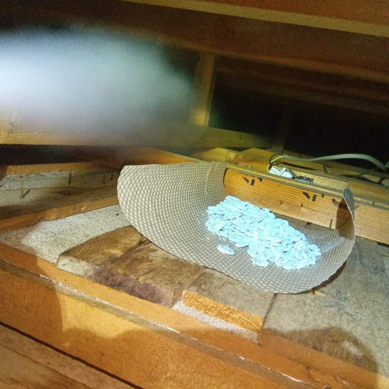 殺鼠剤を設置した様子